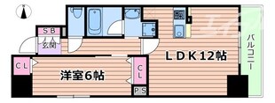 レジュールアッシュ谷町四丁目グランクラスの物件間取画像